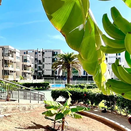 Vinas Daire Playa de las Américas