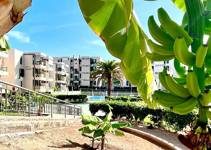 Vinas Apartment Playa de las Americas (Tenerife)